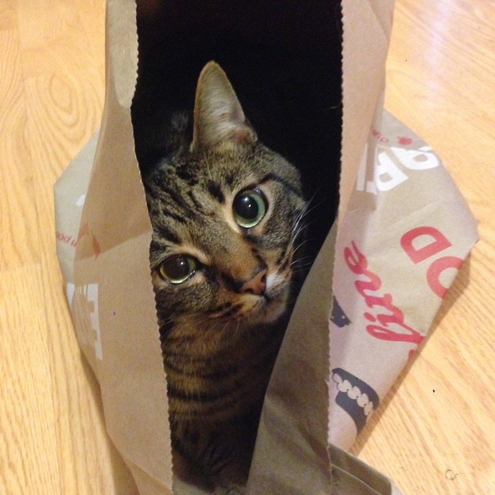 2015-07-23 20.11.35-2.jpg