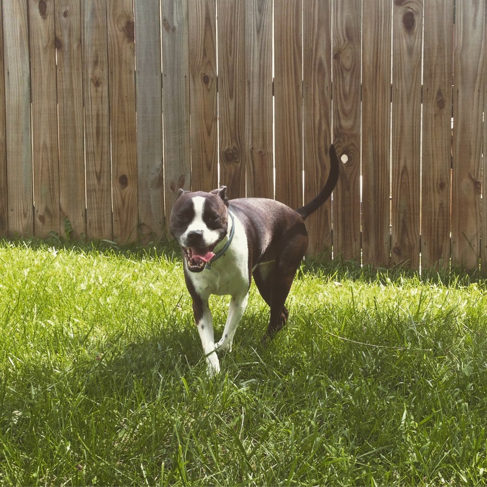 2015-07-25 15.32.13-1