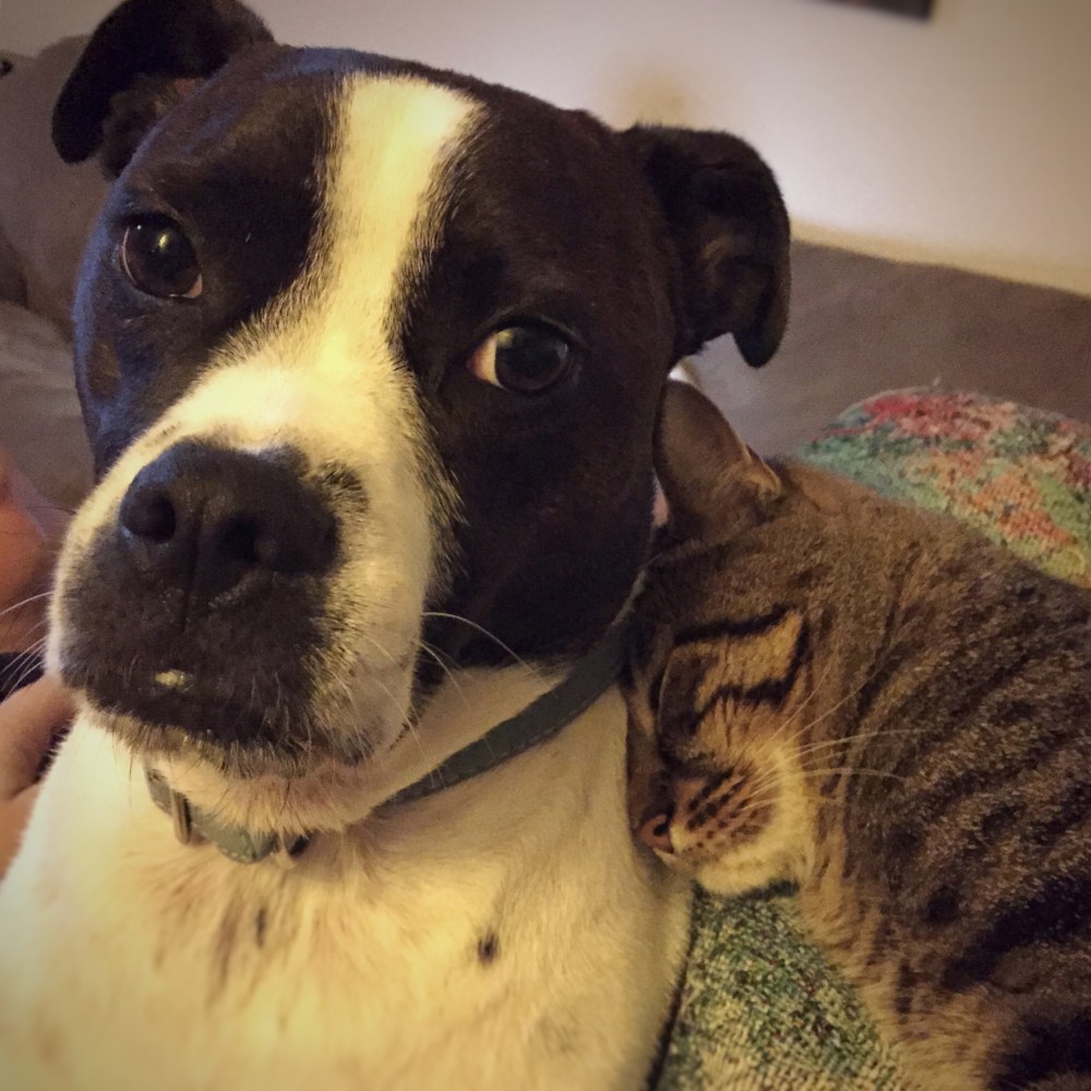 2015-09-04 22.33.49-1