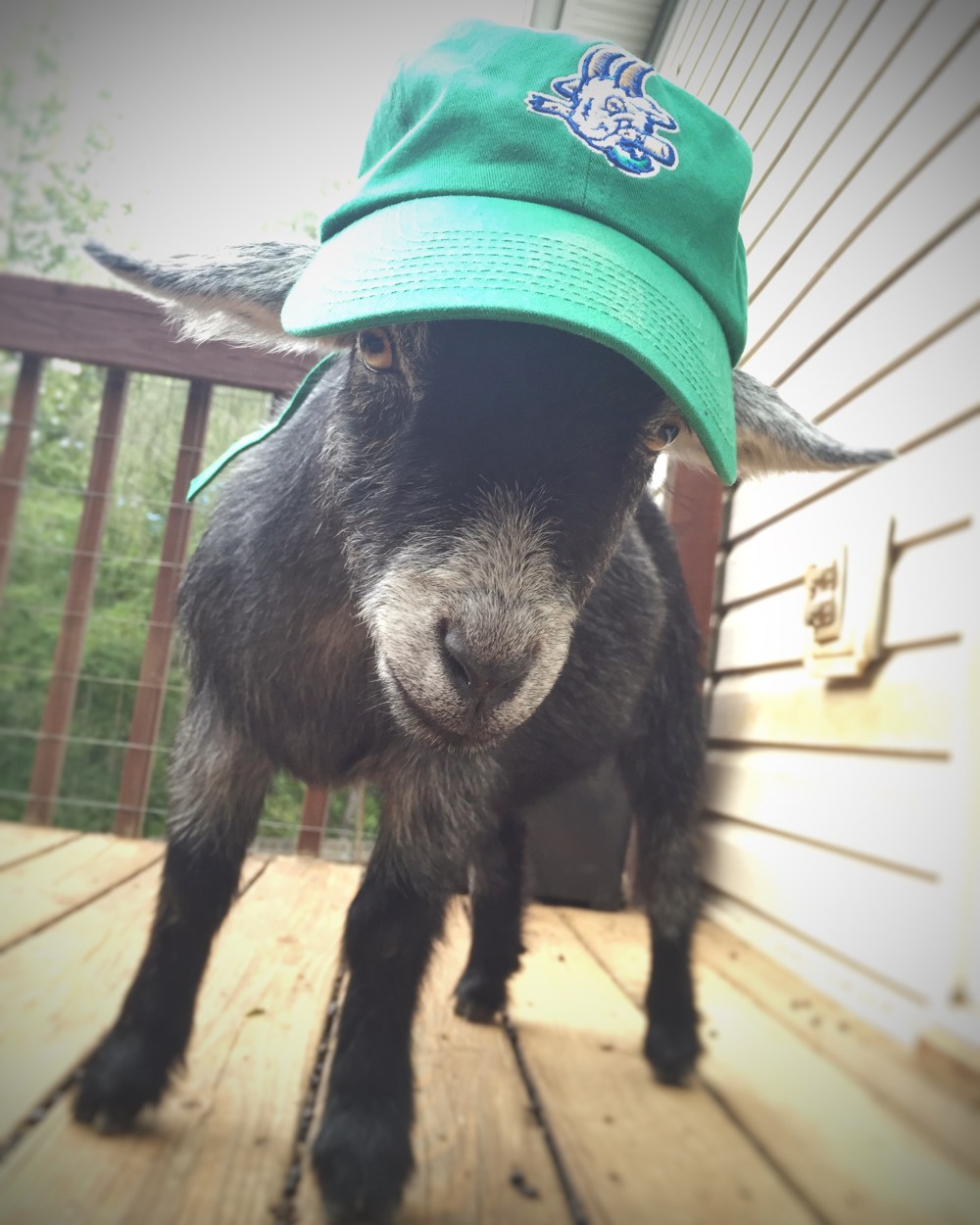 2015-09-12 17.12.48-1