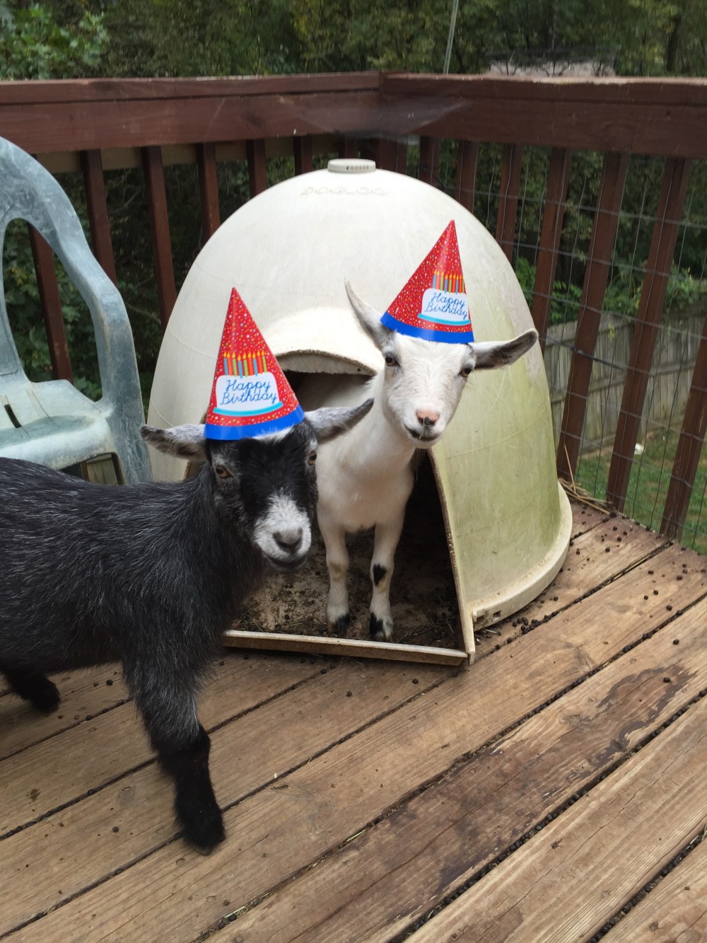 2015-09-21 08.38.56.jpg