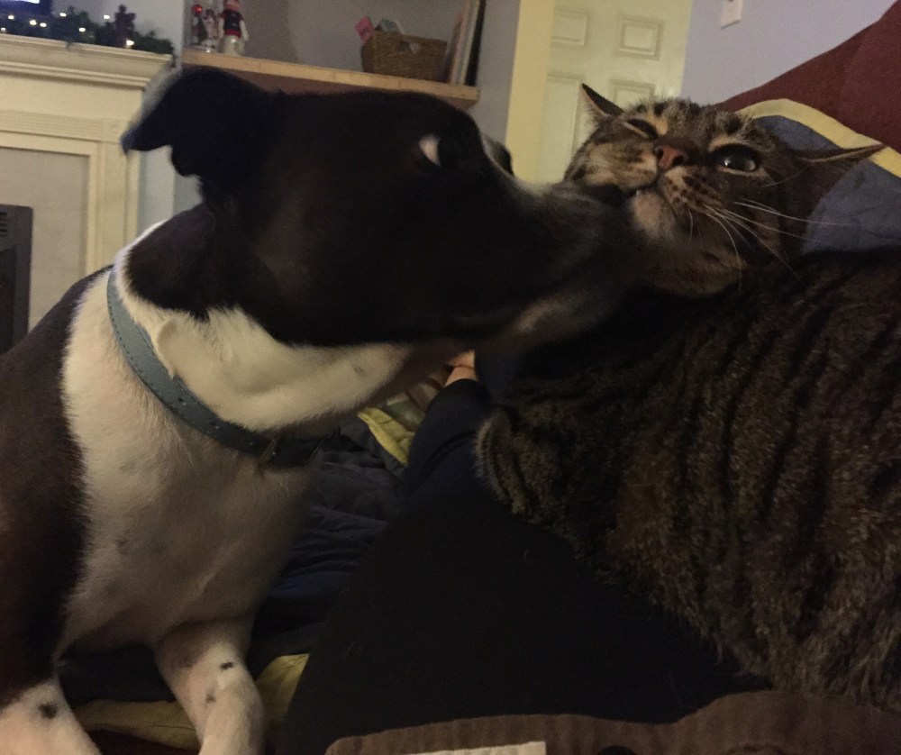 2015-12-11 20.43.28-1