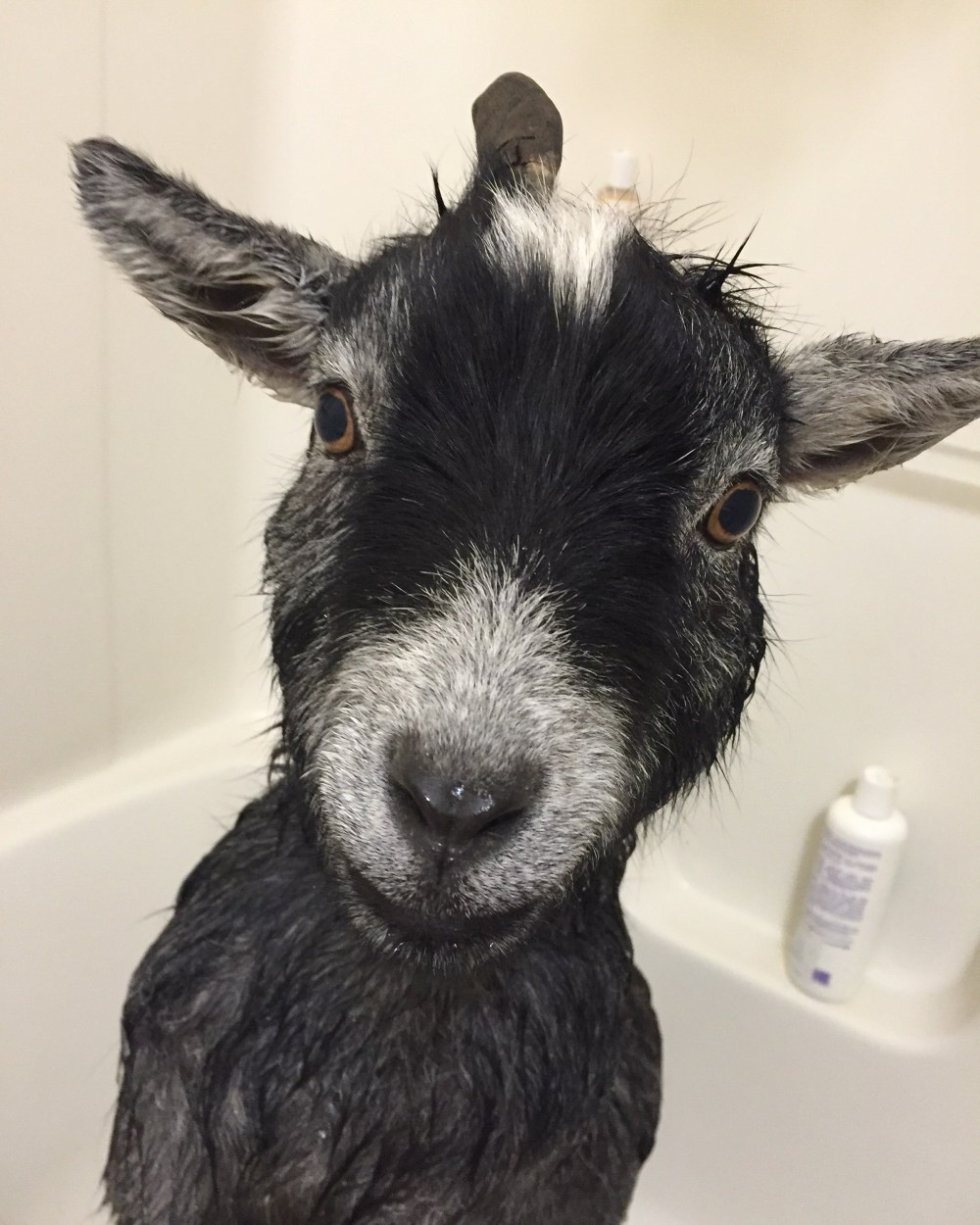 2016-01-20 08.59.48-1