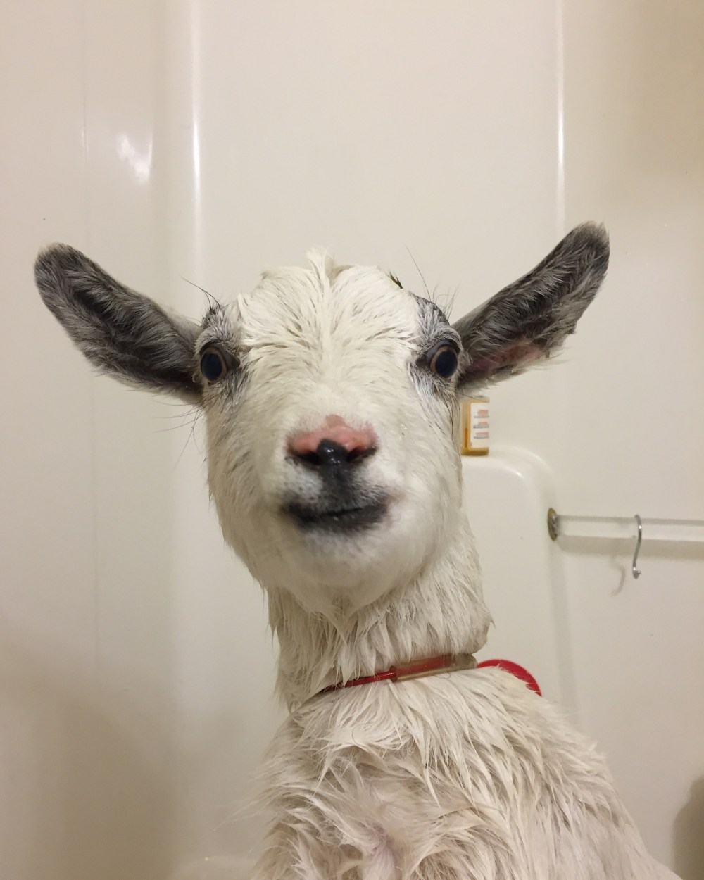 2016-01-20 09.03.29-1