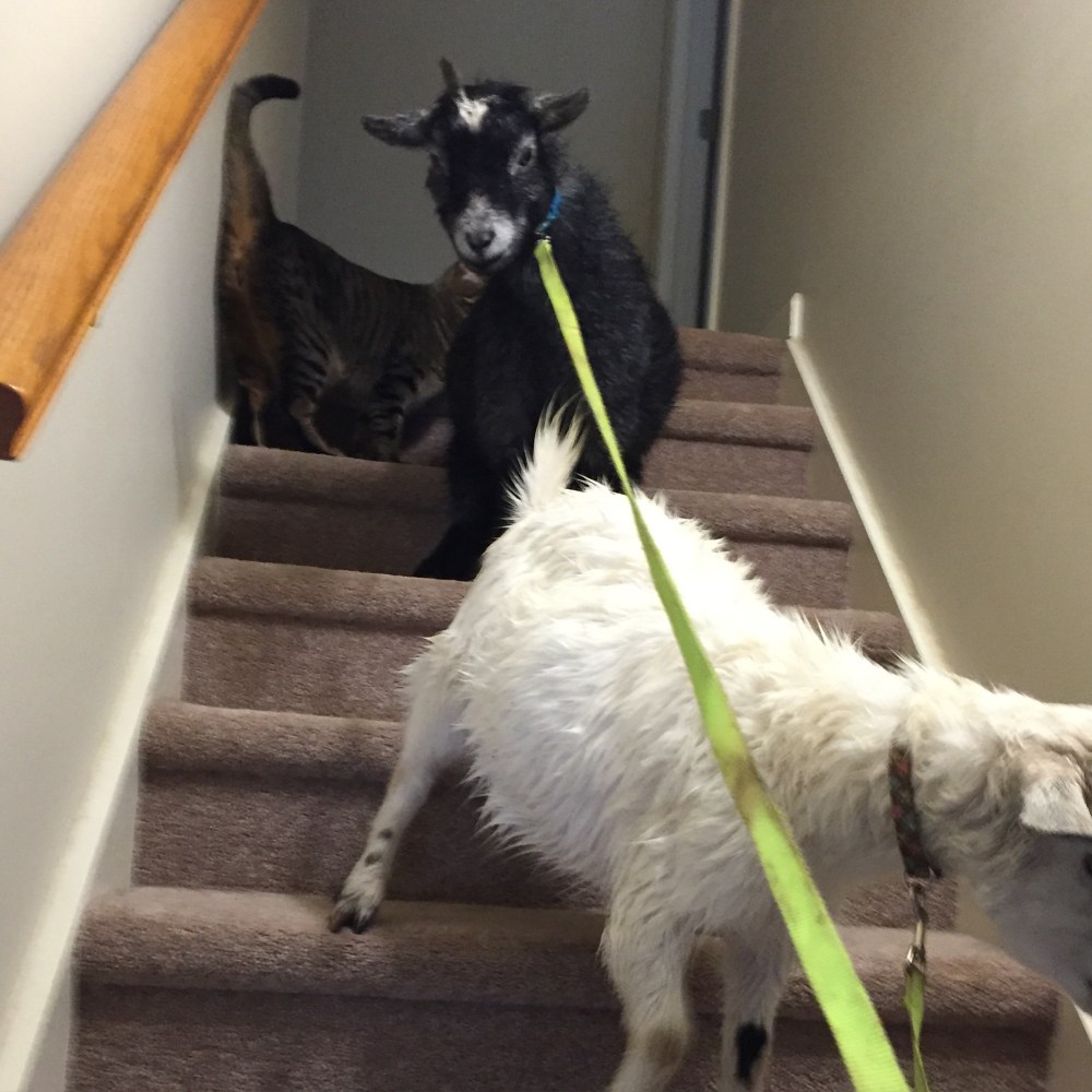 2016-01-20 09.12.47-2