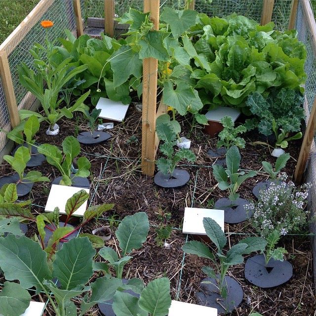 10458858_10102647894150809_7025991473958288483_n