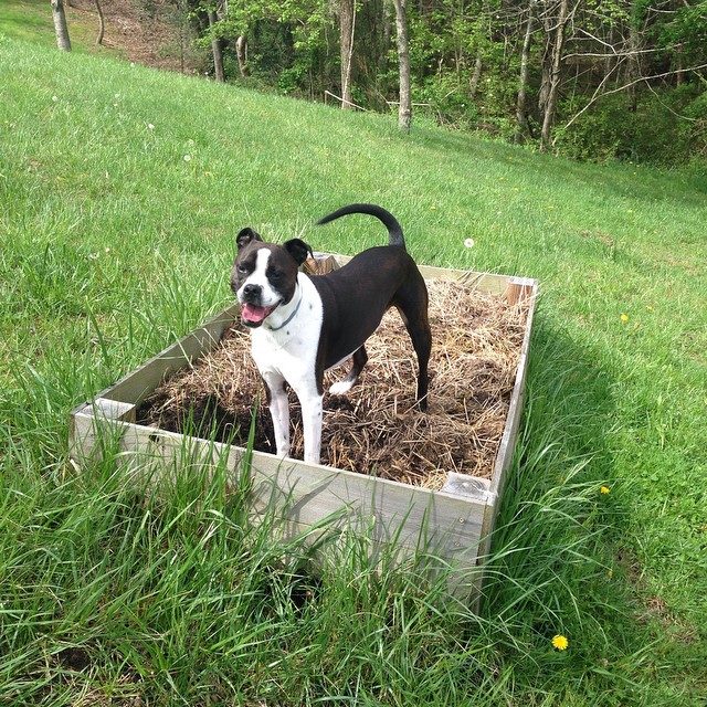 11169920_10102578275367409_6390065899174634826_n