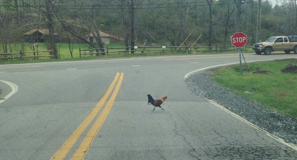 2015-04-07 11.17.18-2 copy